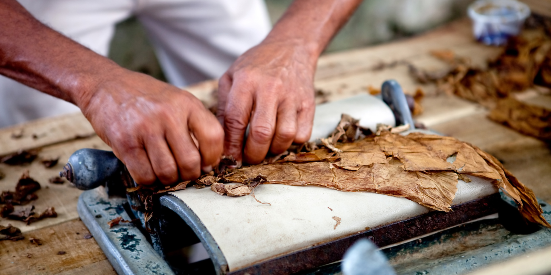 From Seed to Cigar: The Tobacco Leaf’s Journey