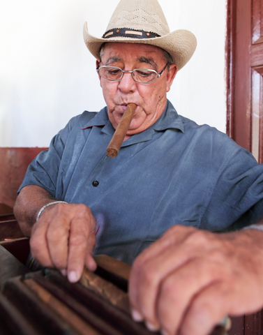 cuban cigars in the making