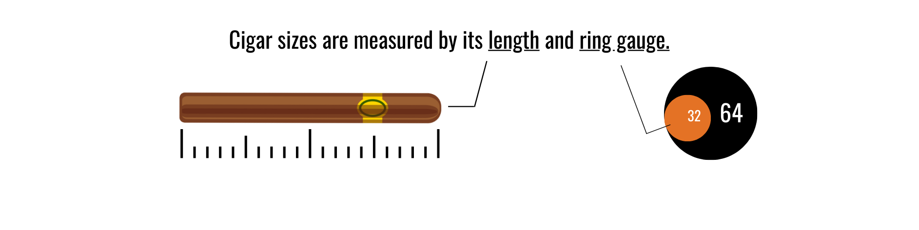 There are two main dimensions when it comes to cigars: length and ring gauge.