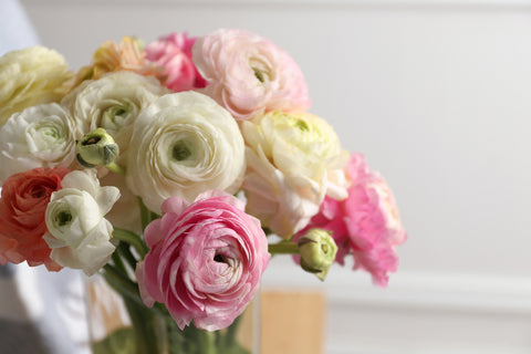 How to Grow Ranunculus