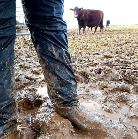 Orca Bay Orkney Boots in the field