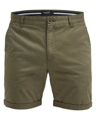 holebrook sweden ludde mens shorts olive green