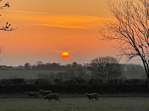 walking at sunrise