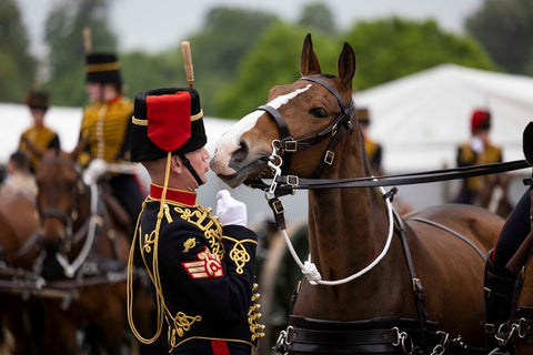 royal windsor horse show