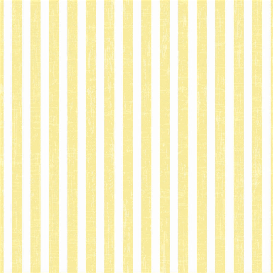 backdrop photography striped blue and yellow