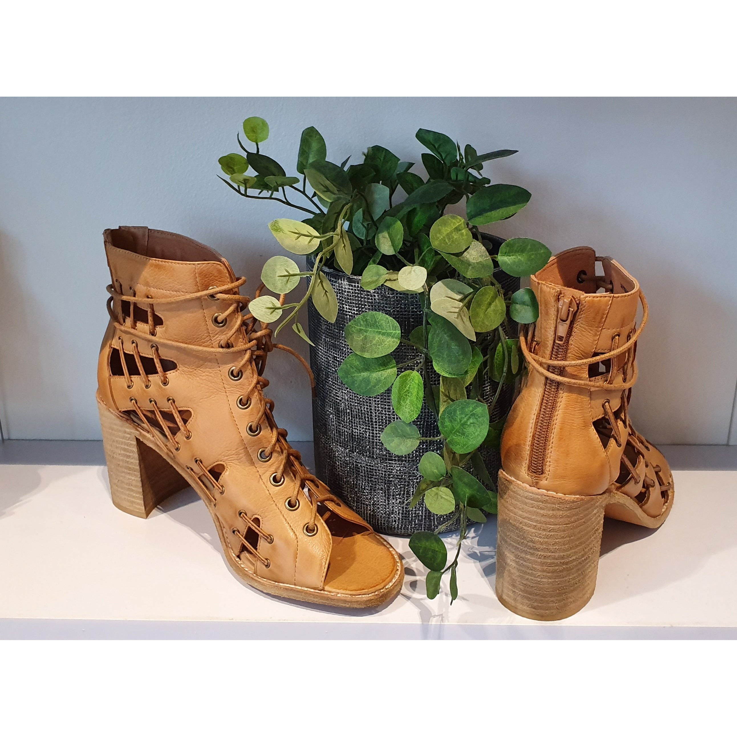 mollini lace up boots