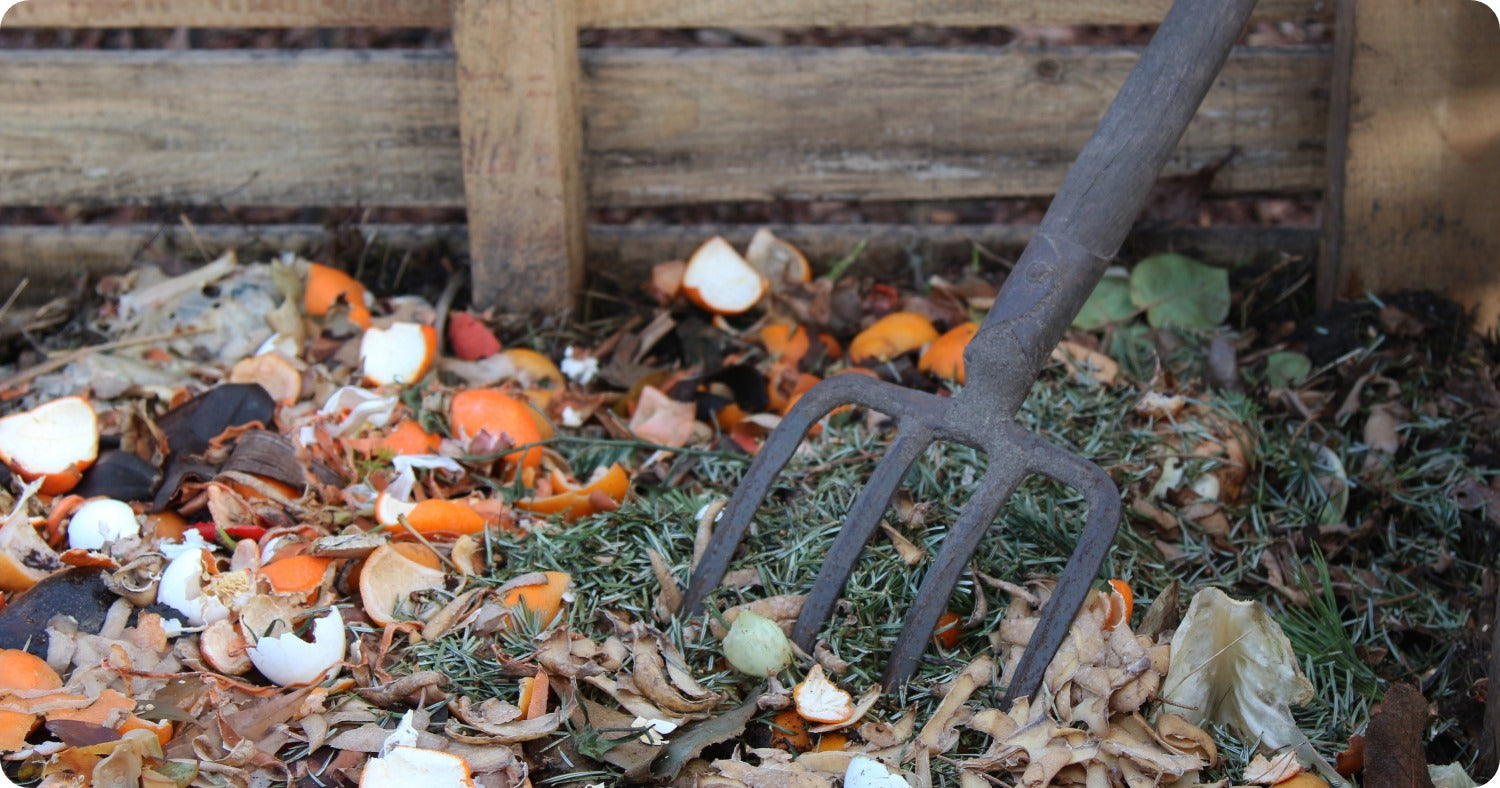How To Backyard Compost
