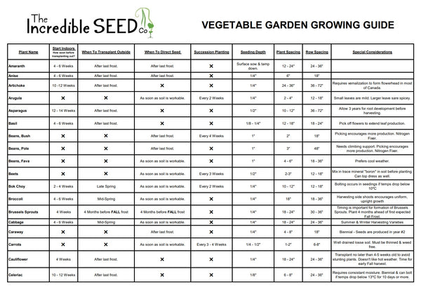 How To Grow Veggies From Seed