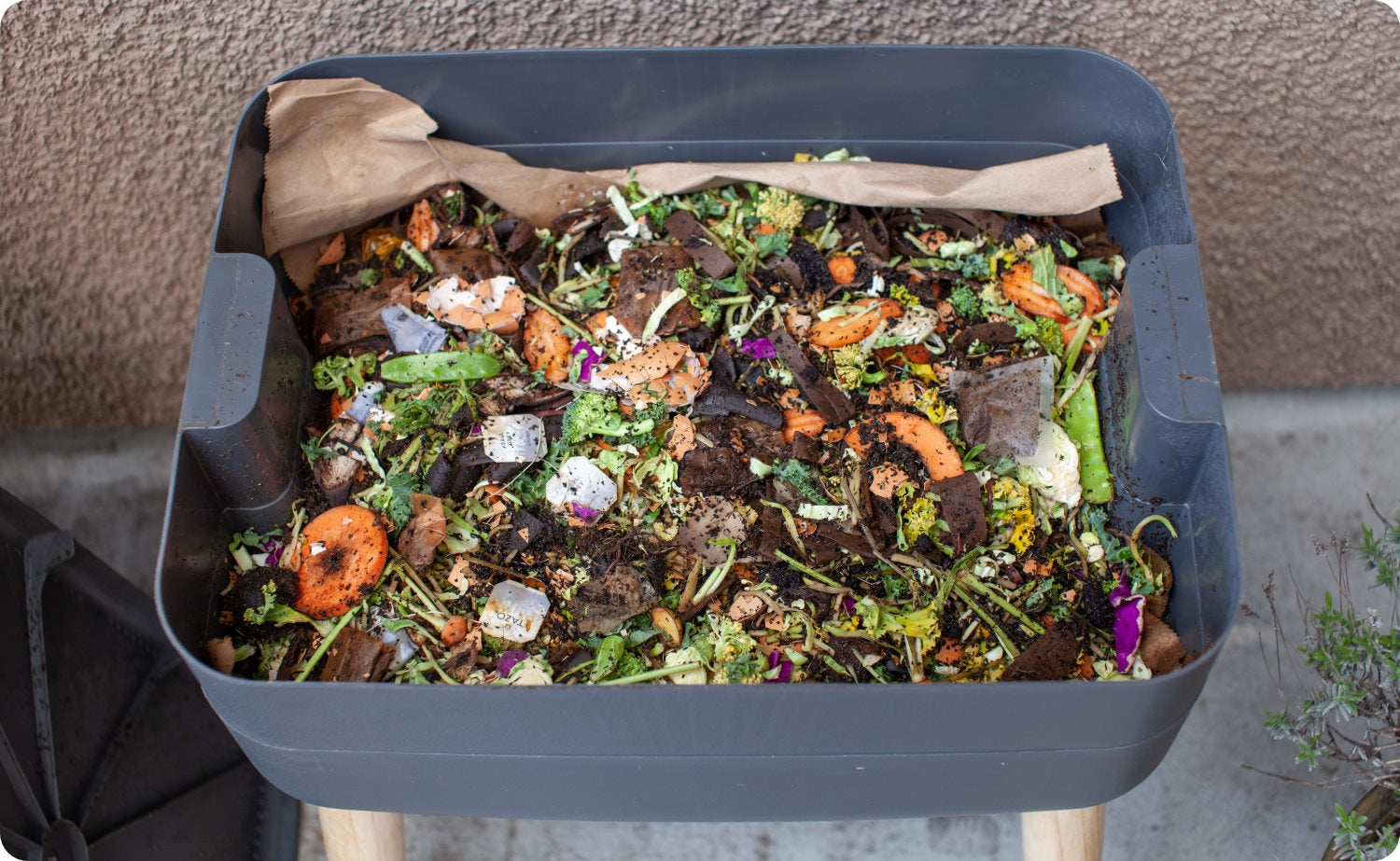 Worm Composting Tray
