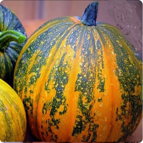 Pumpkin Seeds - Kakai (Hull-less Seeds)