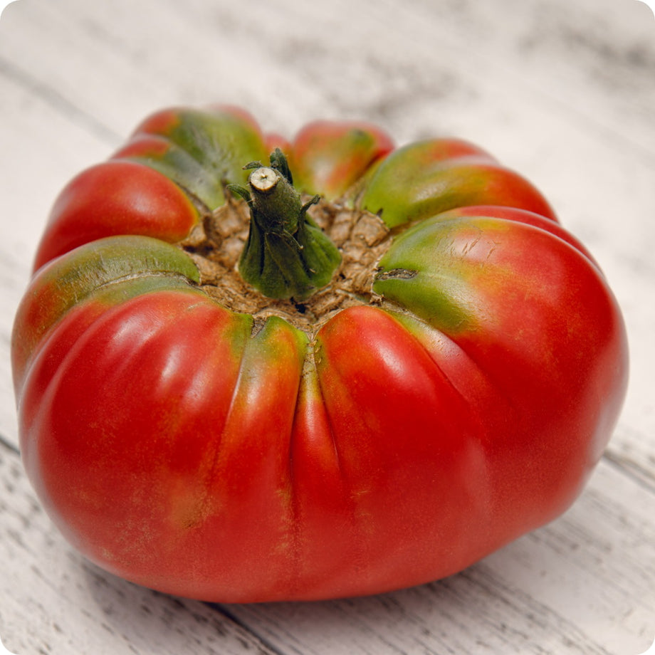 Beefsteak Tomato Seeds – Heirloom Untreated NON-GMO From Canada