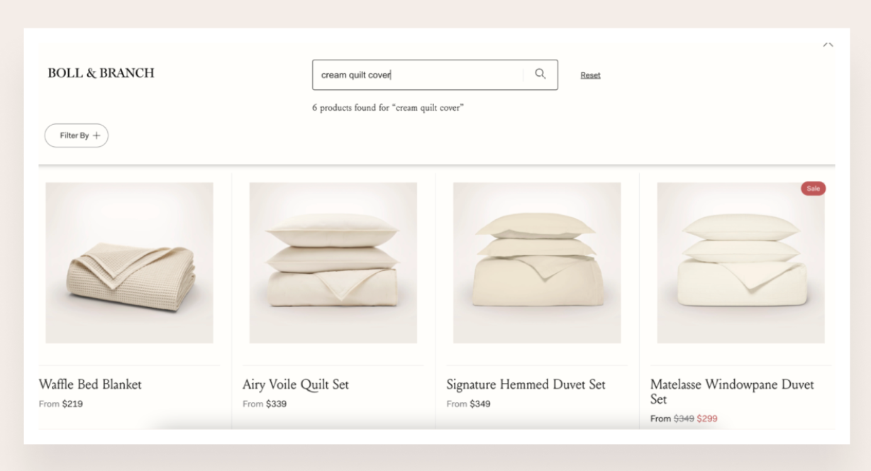 Ecommerce Site Search: Best Practices for 2024