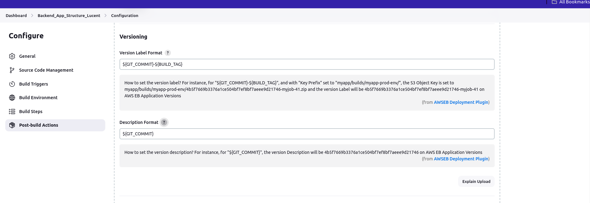 13 - Jenkins Version Label Format & Description