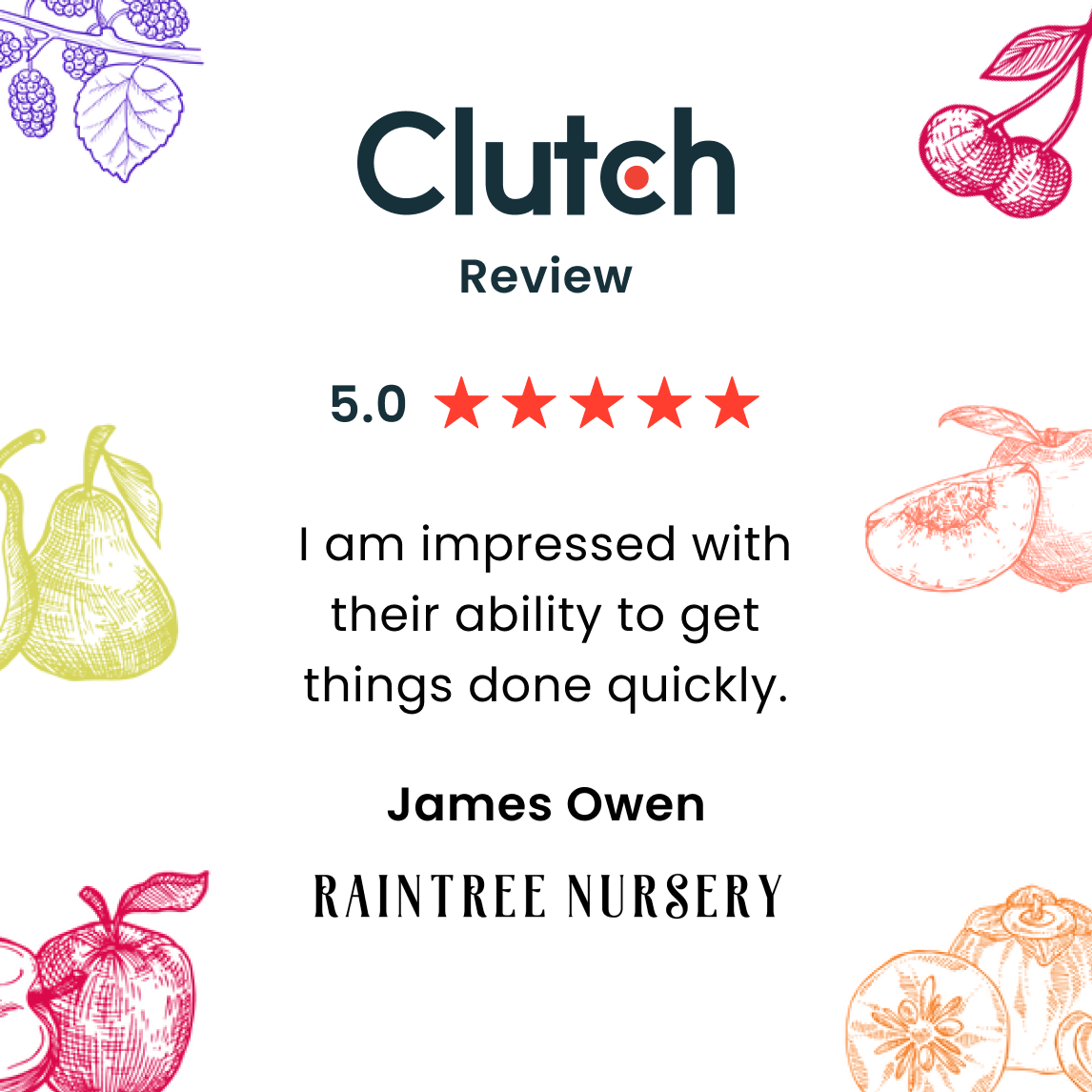 Raintree Clutch Review about Lucent innovation with 5 stars