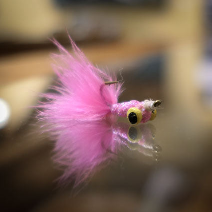 Shad Fly Tying Round Table - 2/7/24