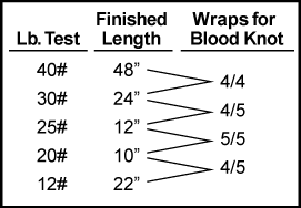 Leader tying formula. The finished leader will incorporate the following lengths and weights stepped down: 48" of 40# material, 24" of 30#, 12" of 25#, 10" of 20# and 22" of 12#. When tying the blood knot use 4 turns each between the 40# and 30#, 4 turns in the 30# and 5 in the 25#, 5 each in the 25# and 20#, and finally 4 turns in the 20# and 5 turns in the 12#.