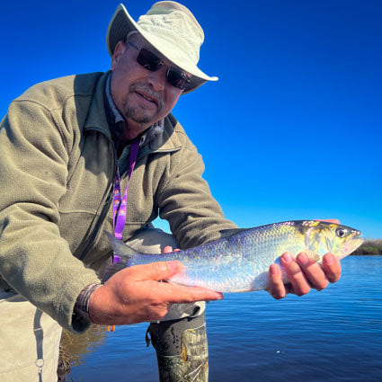 Shad Fishing