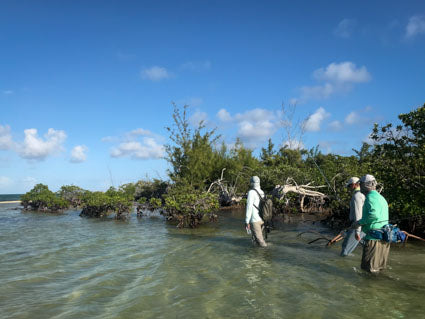 Wading a sandy shoreline, Andros, Bahamas.