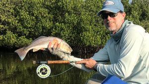 Redfish with fly rod and reel.