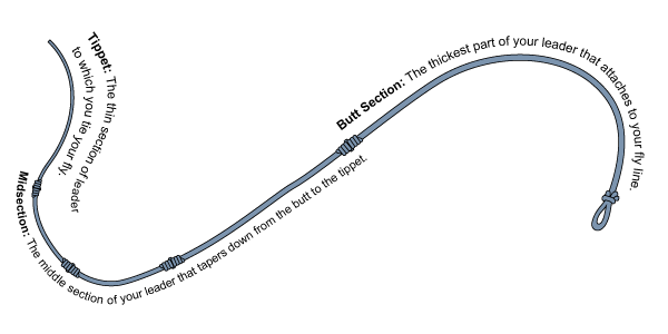 Fly leader diagram