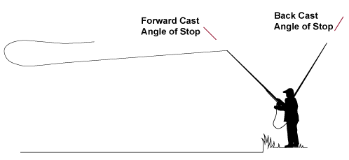 First Cast to First Fish: Part 2 - The Cast Explained