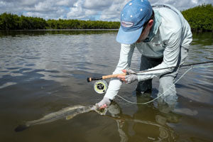 Fly caught snook