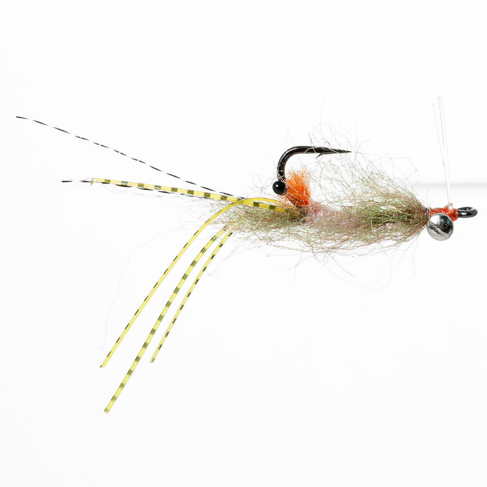 EP Spawning Shrimp | Orlando Outfitters