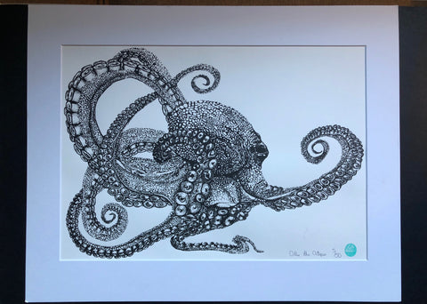 Octopus Limited Edition Prints 