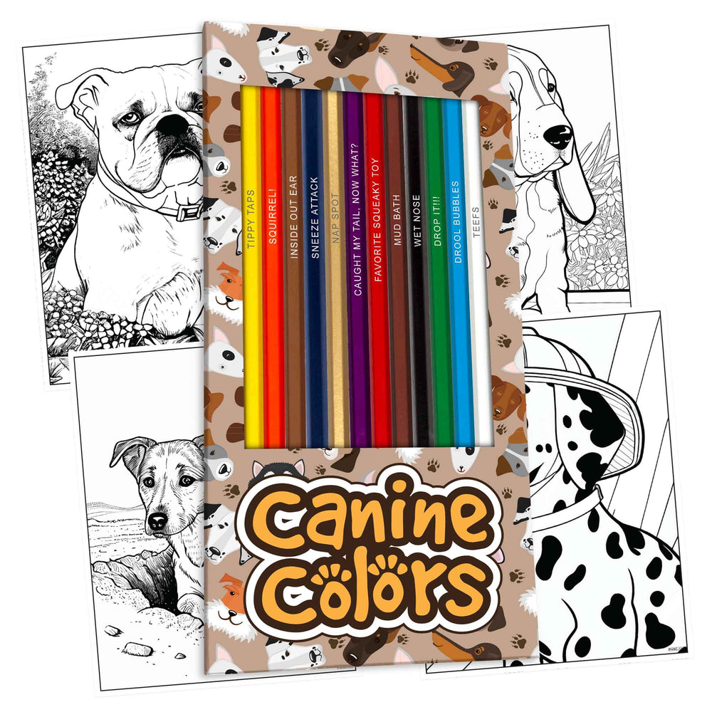 Video Game Lover Colored Pencil Set Pack – Pop Colors