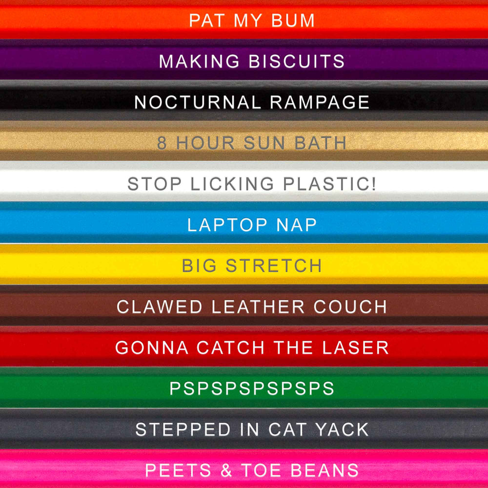Colorful Language Colored Pencil Set (Warning! Adults Only!) – Banana Manor  Rug Factory Outlet
