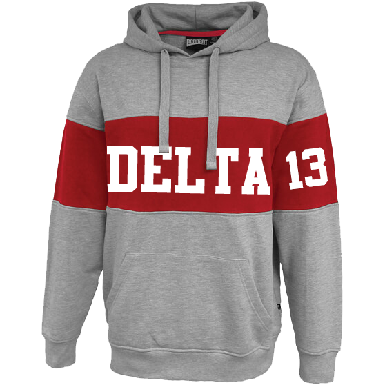 delta sigma theta hoodie