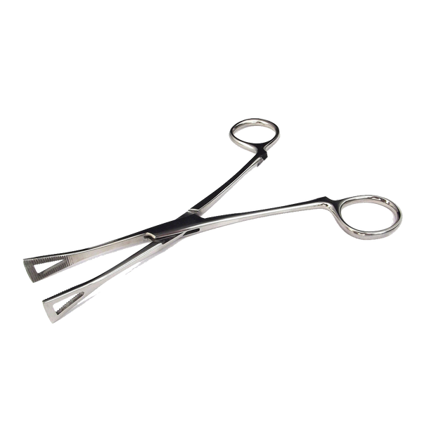 Forcept Style Ball Holder - Piercing Tools - Piercing Supplies - Worldwide  Tattoo Supply