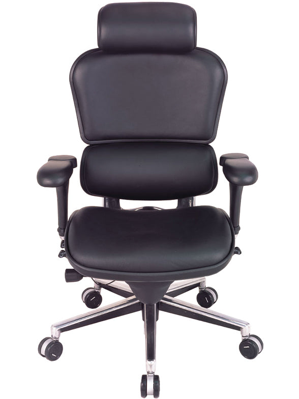 Raynor Ergohuman High Back Leather Chair L Lifetime Warranty