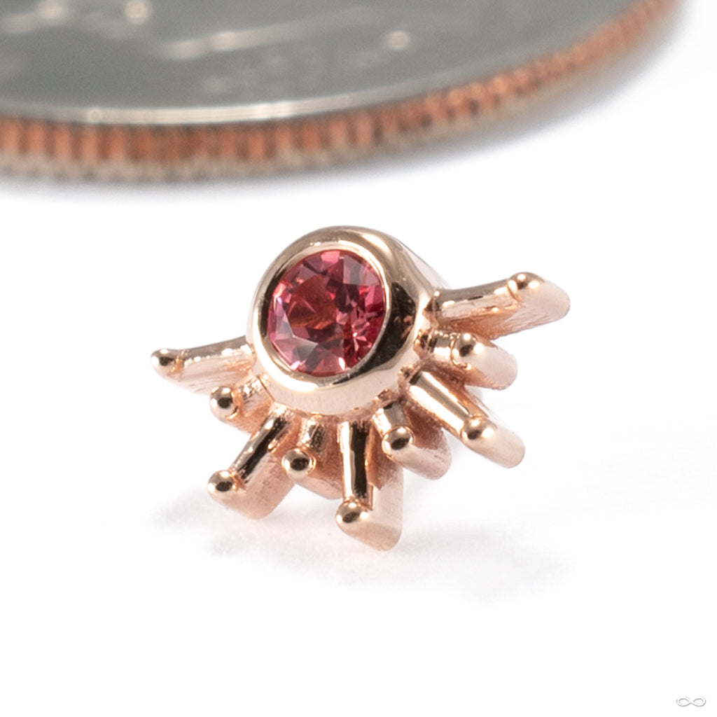 Live To Tell Press-fit End in Gold from BVLA