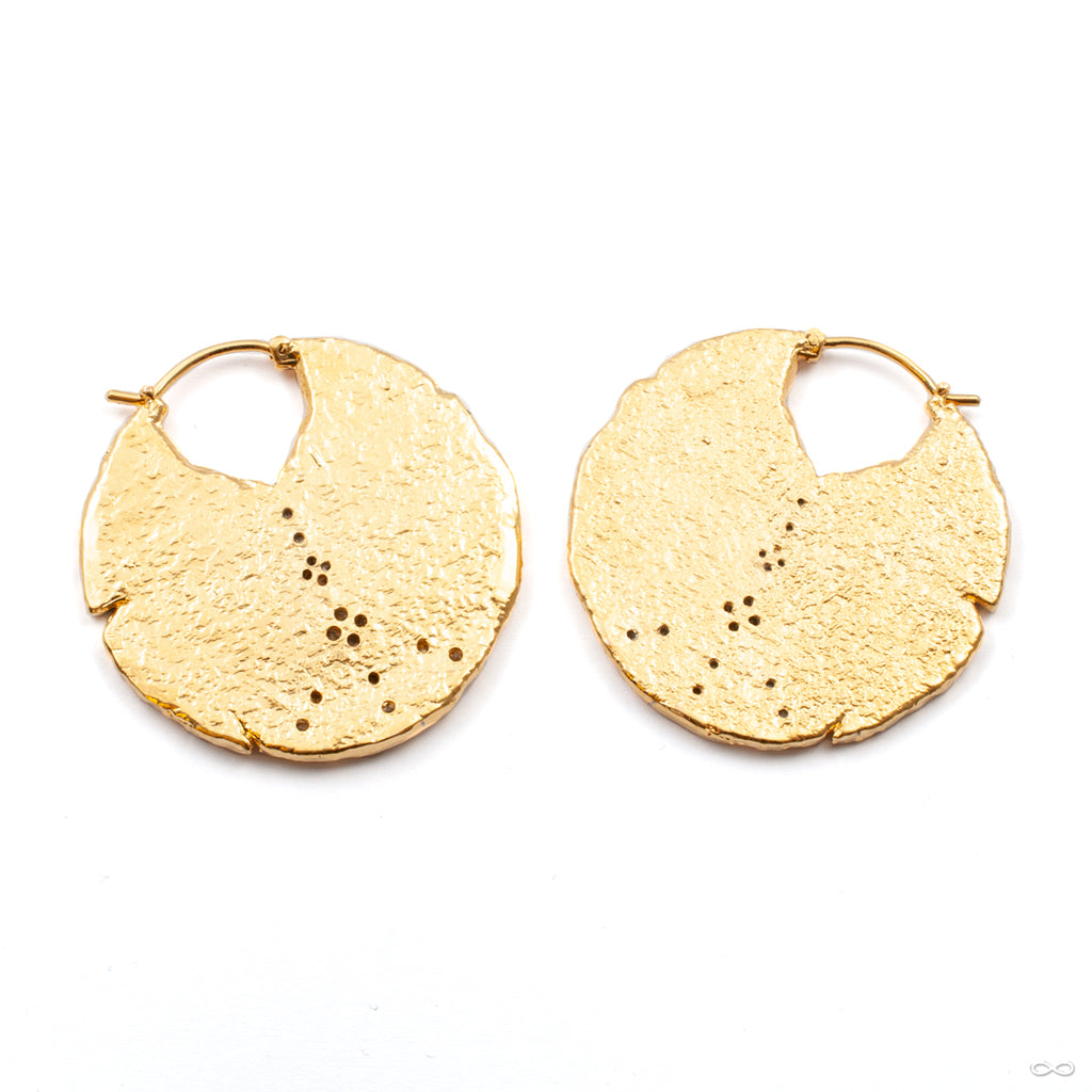 Duality Earrings from Maya Jewelry