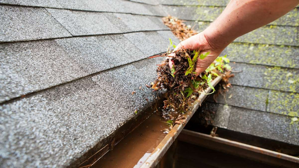 Dirty water in a gutter, filled with debris.