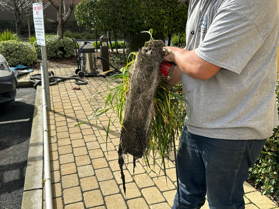 A man holding a large piece of grass from the gutter.