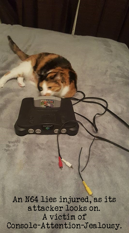 An N64 lies injured.