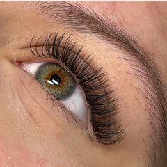 Hybrid lash extensions auckland