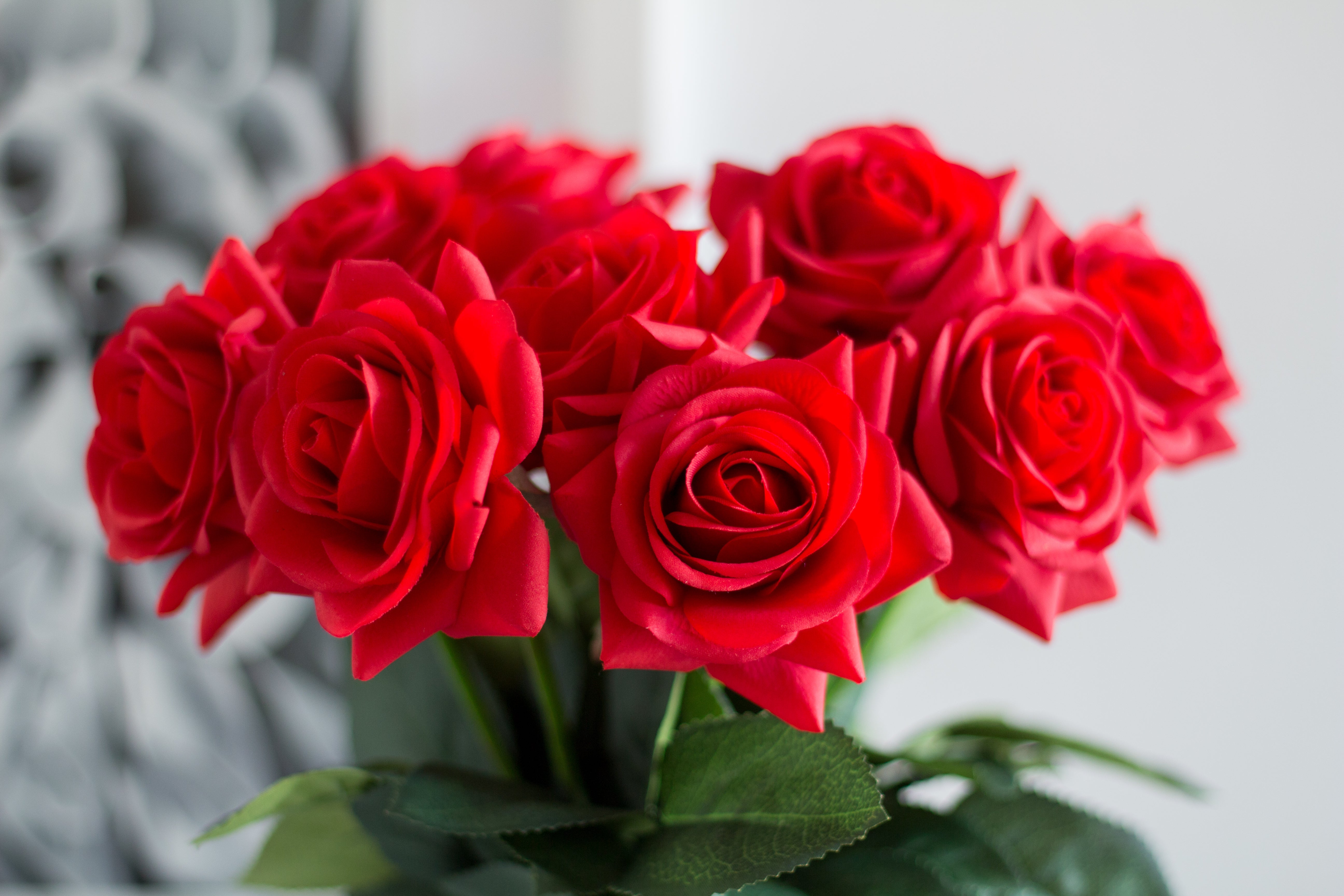 Red Rose Real Flowers Images / Rose Fresh Flowers Catalog Flora Export ...