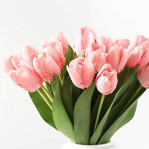 tulips 7pcs