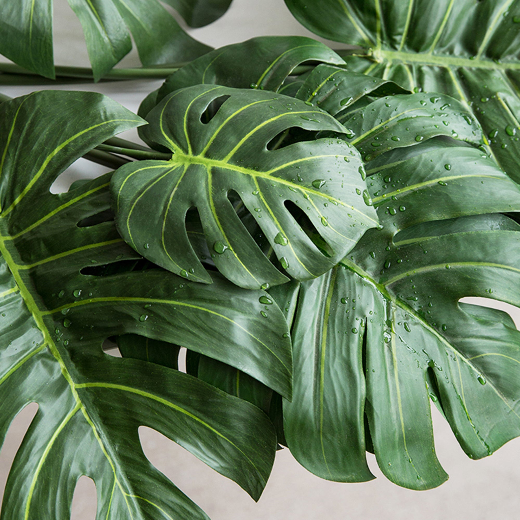 3pcs Real Touch Monstera Leaf  Monstera  Delicios Plant 