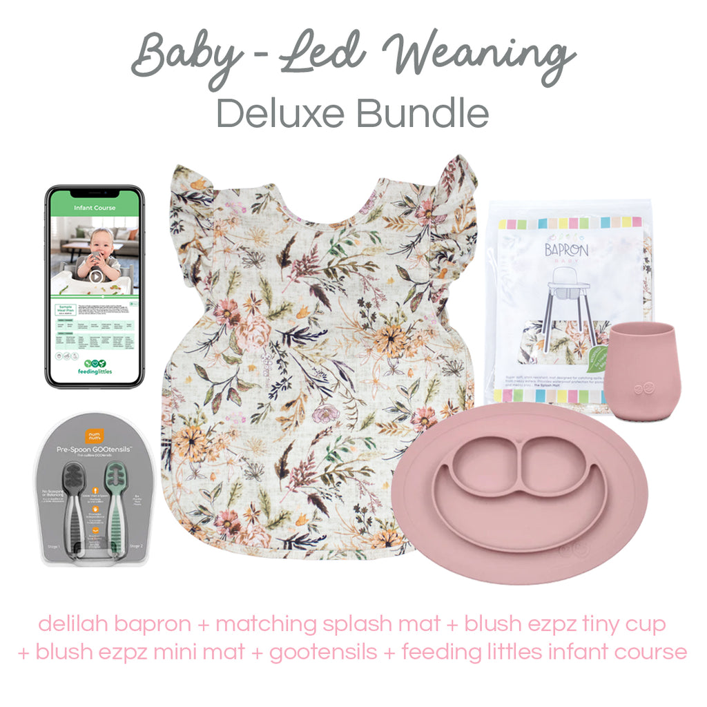 Baby Led Feeding 101 Course + ALL PDF Bundle