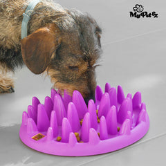 Accesorios para perros