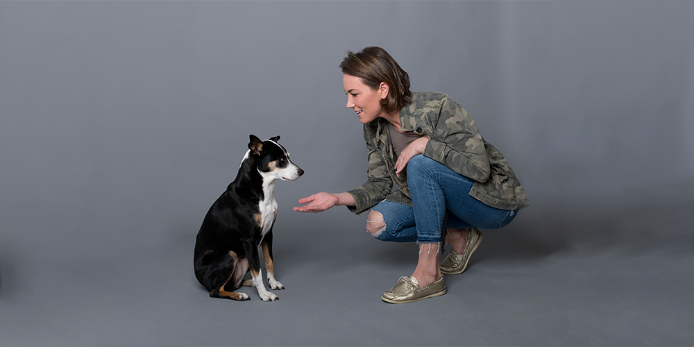 Person kneeling and holding hand out to sitting dog