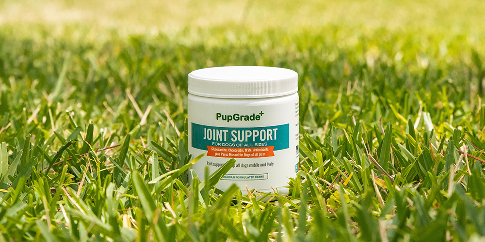 pupgrade joint support chew 