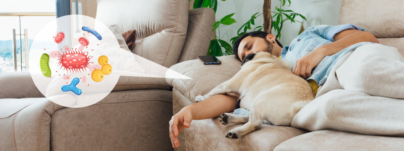 Sleep on the Couch: should you do it? - Durfi Mattress