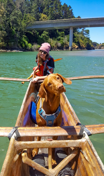 dog on canoe