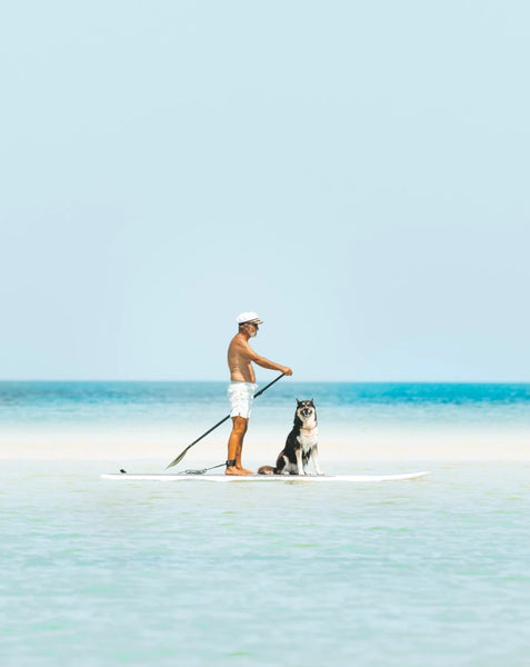 paddleboarding with your dog