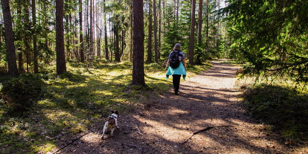 camping with dog